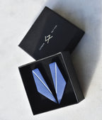 Mini kõrvarõngad WING