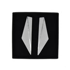 Earrings WING
